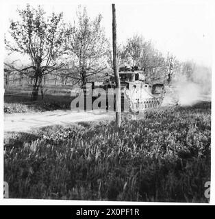 Churchill Flammenwerfer der 8. Armee dringen während einer Angriffsoperation durch die Weinberge nahe des Flusses Senio vor. Stockfoto