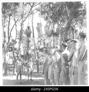 GENESUNGSHEIM IN NORDAFRIKA - Seilklettern unter den Bäumen fotografisches negativ, British Army Stockfoto