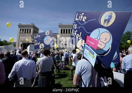 München, Deutschland. April 2024. Die Teilnehmer der „Marsch fürs Leben“-Rallye stehen mit „Leben ist Leben“-Bannern auf dem Königsplatz. Quelle: Uwe Lein/dpa/Alamy Live News Stockfoto