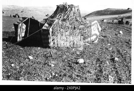 DIE BRITISCHE ARMEE IM TUNESISCHEN FELDZUG, NOVEMBER 1942–MAI 1943 – Ein britischer Köder-Dummy-Panzer auf dem Feld in Tunesien, Dezember 1942 britische Armee, britische Armee, 1. Armee Stockfoto