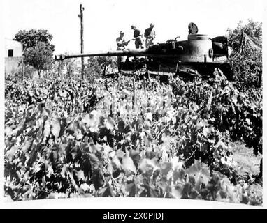 8. ARMEE VORMARSCH IN DER MT. ÄTNA GEBIET - Ein deutscher Tigerpanzer Mk. VI wurde verlassen gefunden und von unseren heranrückenden Truppen in die Luft gesprengt - 152 BDE. 51 Div - Diese Panzer sind die neueste Geheimwaffe der Deutschen und sind mit einer 88-mm-Kanone auf dem Turm ausgestattet und haben ein Gewicht von 72 Tonnen. Die Breite dieses Tanks ist so groß, dass auf den karren von Sizilien seine Nutzung eingeschränkt ist. Fotos in der Nähe von Pisano. Fotografisches negativ, britische Armee Stockfoto