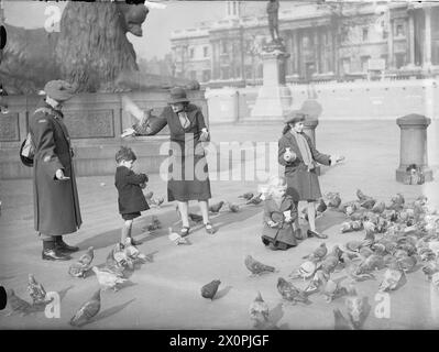 LONDON IM FRÜHJAHR 1941: ALLTAG IN LONDON, ENGLAND – Eine kanadische Soldatin sieht zu, wie eine Frau und ihre Kinder die Tauben am Trafalgar Square füttern Stockfoto