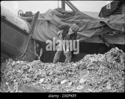 KÜCHENABFÄLLE IN VIEHFUTTER: BERGUNG AN DER BRITISCHEN HEIMATFRONT, 1942 - Bergungsarbeiter schaufeln Haushaltsabfälle aus einem Müllwagen auf einen großen Stapel im Depot irgendwo in Großbritannien Stockfoto