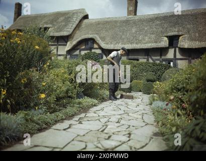 SZENEN IN STRATFORD-ON-AVON, ENGLAND, 1943 - C Trieman, Gärtner in Ann Hathaways Hütte in Stratford, fegt die Herbstblätter auf Stockfoto