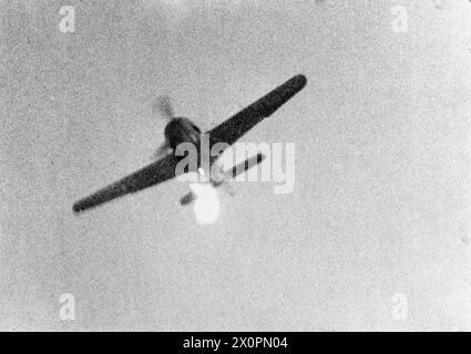 Das Kameramaterial einer Supermarine Spitfire zeigt Kanonen- und Maschinengewehrfeuer, die eine Focke Wulf FW 190 über Gent, Belgien, treffen, bevor der deutsche Pilot aus der Flucht springt und das Flugzeug zur Erde taucht. Stockfoto