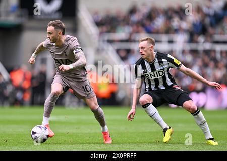 Newcastle upon Tyne, Großbritannien. April 2024. Newcastle, England, 13. April 2024: James Maddison aus Tottenham und Sean Longstaff aus Newcastle Vereinigten sich im Rahmen des Premier League-Fußballspiels zwischen Newcastle United und Tottenham Hotspur im St James Park in Newcastle, England (will Palmer/SPP) Credit: SPP Sport Press Photo. /Alamy Live News Stockfoto