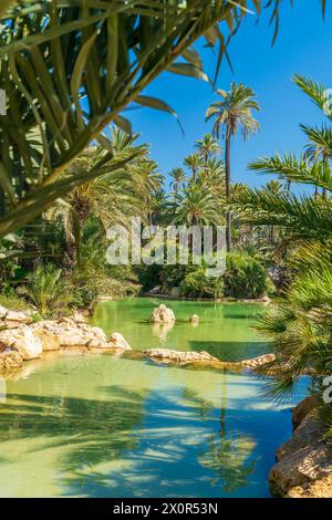 Parc El Palmeral, Alicante, Comunidad Valenciana, Viertel Alicante, Costa Blanca, Spanien Stockfoto