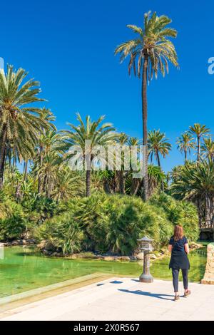 Parc El Palmeral, Comunidad Valenciana, Bezirk Alicante, Costa Blanca, Spanien Stockfoto