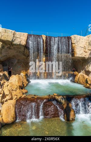 Parc El Palmeral, Comunidad Valenciana, Bezirk Alicante, Costa Blanca, Spanien Stockfoto