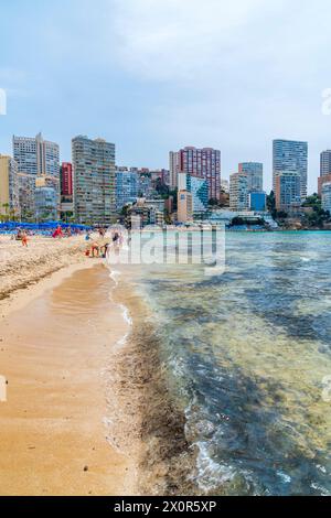 Platja de Llevant, Benidorm, Comunidad Valenciana, Bezirk Alicante, Costa Blanca, Spanien Stockfoto