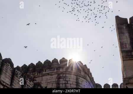 Historisches Mehrangarh Fort in Jodhpur, Rajasthan Stockfoto
