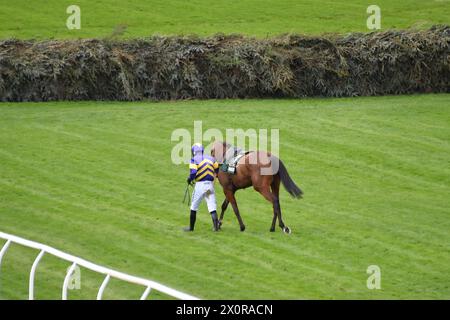 Liverpool, Großbritannien, 12. April 2024. Jockey Derek Fox führt Corach Rambler zurück zu den Stallungen, nachdem er bei Aintree beim ersten Mal in der National-Gruppe gefallen ist. Foto: Paul Blake/Alamy Sports News Stockfoto