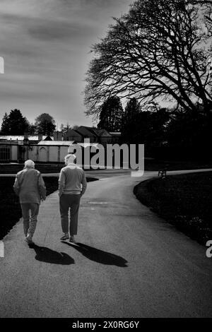 Rückansicht einer Feder und eines Sohnes, die zusammen in einem Park in Springtime spazieren und einen Schatten auf den gewundenen Pfad werfen. Schwarzweiß hoher Kontrast. Familie. Stockfoto