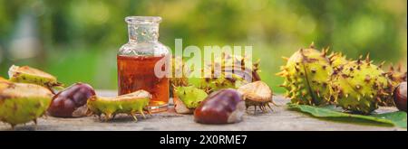 Rosskastanienextrakt in einer Flasche. Selektiver Fokus. Stockfoto