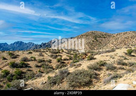 Baylor Peak, Organ Needle im Organ Mountains Desert Peaks NP in New Mexico Stockfoto