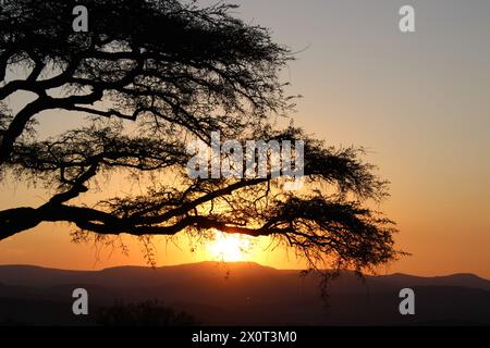 Wunderschöner afrikanischer Sonnenuntergang im Lowveld Mpumalanga. Goldene Farbtöne und afrikanischer Himmel: Erkunden Sie den Zauber des Sonnenuntergangs im Herzen Afrikas Stockfoto