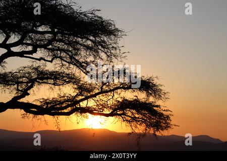 Wunderschöner afrikanischer Sonnenuntergang im Lowveld Mpumalanga. Goldene Farbtöne und afrikanischer Himmel: Erkunden Sie den Zauber des Sonnenuntergangs im Herzen Afrikas Stockfoto