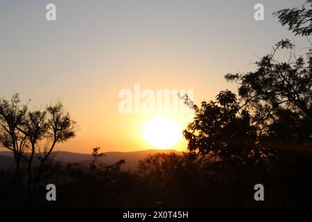 Wunderschöner afrikanischer Sonnenuntergang im Lowveld Mpumalanga. Goldene Farbtöne und afrikanischer Himmel: Erkunden Sie den Zauber des Sonnenuntergangs im Herzen Afrikas Stockfoto