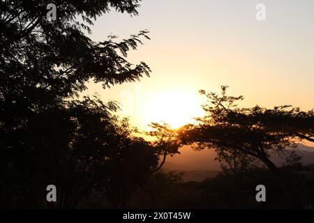 Wunderschöner afrikanischer Sonnenuntergang im Lowveld Mpumalanga. Goldene Farbtöne und afrikanischer Himmel: Erkunden Sie den Zauber des Sonnenuntergangs im Herzen Afrikas Stockfoto