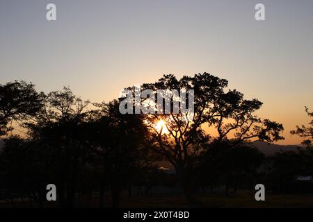 Wunderschöner afrikanischer Sonnenuntergang im Lowveld Mpumalanga. Goldene Farbtöne und afrikanischer Himmel: Erkunden Sie den Zauber des Sonnenuntergangs im Herzen Afrikas Stockfoto