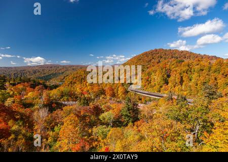 Berg Hachimantai, Herbstlaub, Hachimantai Aspitlinie (Bergstraße), Kazuno Stadt, Akita, Japan, Ostasien, Asien Stockfoto