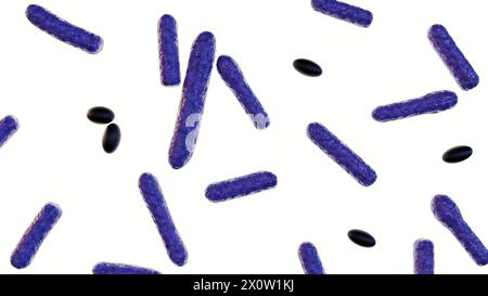 3D-Darstellung von Clostridium botulinum isoliert auf weißem Hintergrund Stockfoto