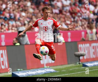 München, Deutschland. April 2024. Joshua Kimmich von Bayern München kontrolliert den Ball während des Fußballspiels der ersten Bundesliga zwischen Bayern München und dem FC Köln am 13. April 2024 in München. Quelle: Philippe Ruiz/Xinhua/Alamy Live News Stockfoto