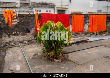 Songkram Thai Buddhist Neujahrsparade, Segen und Wasserschlachten in Chiang Mai, Thailand Stockfoto