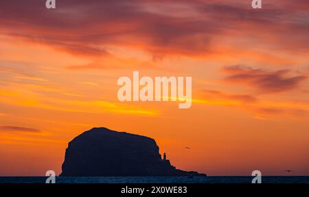 Firth of Forth, Schottland, Großbritannien, 14. April 2024. Wetter in Großbritannien: Sonnenaufgang über dem Bass Rock. Zu dieser Jahreszeit ist es möglich, einen Blick auf den Sonnenaufgang hinter der Tölpellerkolonie von der Ostlothianischen Küste vor einem leuchtenden orangen Himmel zu werfen. Quelle: Sally Anderson/Alamy Live News Stockfoto