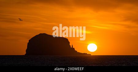 Firth of Forth, Schottland, Großbritannien, 14. April 2024. Wetter in Großbritannien: Sonnenaufgang über dem Bass Rock. Zu dieser Jahreszeit ist es möglich, einen Blick auf den Sonnenaufgang hinter der Tölpellerkolonie von der Ostlothianischen Küste vor einem leuchtenden orangen Himmel zu werfen. Quelle: Sally Anderson/Alamy Live News Stockfoto