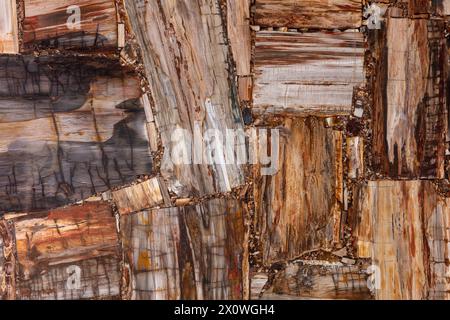 Struktur aus versteinertem Holz. Semi-edles Muster. Exklusiver Luxus Edelstein Hintergrund. Material für einzigartige Innen-, Außen-Design-Dekoration. Braun Stockfoto