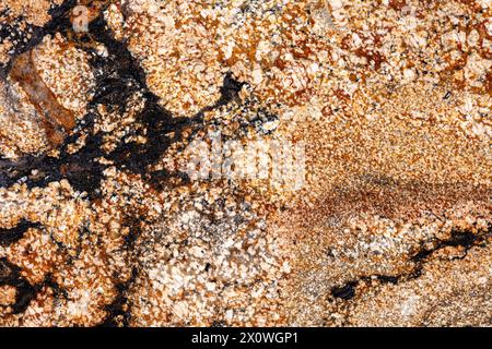 New Sedna - Granit Hintergrund, schöne Textur in idealen Goldton für Ihre individuelle Einrichtung. Stockfoto