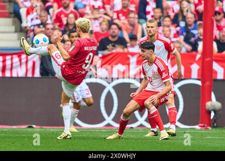 Luca Waldschmidt, 1.FCK 9 konkurrieren um den Ball, Tackling, Duell, Header, zweikampf, Aktion, Kampf gegen Aleksandar Pavlovic, FCB 45 Matthijs de Ligt, FCB 4 im Spiel FC BAYERN MÜNCHEN - 1.FC Köln 2-0 am 13. April 2024 in München. Saison 2023/2024, 1.Bundesliga, FCB, München, Spieltag 29, 29.Spieltag-Fotograf: ddp-Bilder / STAR-Bilder - DFL-VORSCHRIFTEN VERBIETEN JEDE VERWENDUNG VON FOTOGRAFIEN als BILDSEQUENZEN und/oder QUASI-VIDEO - Stockfoto