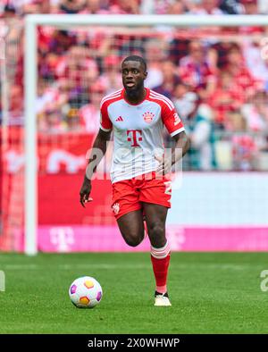 Dayot Upamecano , FCB 2 im Spiel FC BAYERN MÜNCHEN - 1.FC KÖLN 2-0 am 13. April 2024 in München. Saison 2023/2024, 1.Bundesliga, FCB, München, Spieltag 29, 29.Spieltag-Fotograf: ddp-Bilder / STAR-Bilder - DFL-VORSCHRIFTEN VERBIETEN JEDE VERWENDUNG VON FOTOGRAFIEN als BILDSEQUENZEN und/oder QUASI-VIDEO - Stockfoto