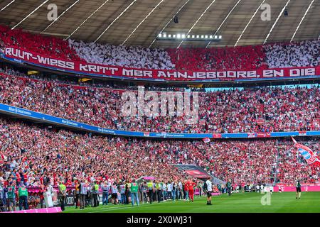 Fans Köln im Spiel FC BAYERN MÜNCHEN - 1.FC Köln 2-0 am 13. April 2024 in München. Saison 2023/2024, 1.Bundesliga, FCB, München, Spieltag 29, 29.Spieltag-Fotograf: ddp-Bilder / STAR-Bilder - DFL-VORSCHRIFTEN VERBIETEN JEDE VERWENDUNG VON FOTOGRAFIEN als BILDSEQUENZEN und/oder QUASI-VIDEO - Stockfoto