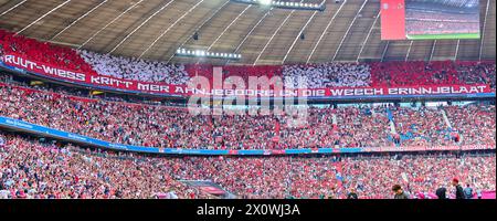 Fans Köln (Foto (M) PANORAMA) Rot-weiß bekommt man angeboren, in die Wiege reingelegt im Spiel FC BAYERN MÜNCHEN - 1.FC KÖLN 2-0 am 13. April 2024 in München. Saison 2023/2024, 1.Bundesliga, FCB, München, Spieltag 29, 29.Spieltag-Fotograf: ddp-Bilder / STAR-Bilder - DFL-VORSCHRIFTEN VERBIETEN JEDE VERWENDUNG VON FOTOGRAFIEN als BILDSEQUENZEN und/oder QUASI-VIDEO - Stockfoto