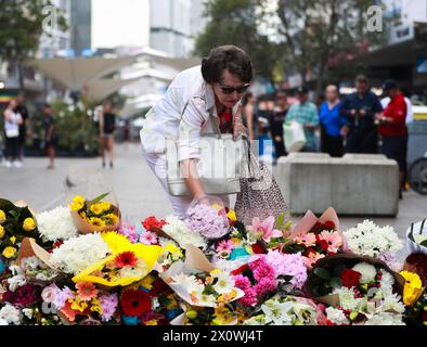 Sydney, Australien. April 2024. Eine Frau legt Blumen vor dem Westfield Shopping Centre in der Bondi Junction in Sydney, Australien, 14. April 2024. Die australische Polizei identifizierte am Sonntag den Täter eines Sydney Shopping Centre, der sechs Menschen tötete, und sagte, dass kein Geheimdienst vermuten würde, dass der Angriff von Ideologie getrieben wurde. Der Täter beim Angriff am Samstag Nachmittag im Westfield Shopping Centre in Bondi Junction war der 40-jährige Joel Cauchi aus Queensland, New South Wales (NSW). Quelle: Ma Ping/Xinhua/Alamy Live News Stockfoto