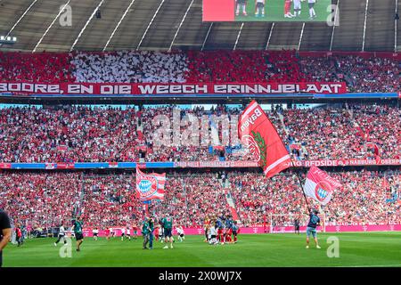 Fans Köln im Spiel FC BAYERN MÜNCHEN - 1.FC Köln 2-0 am 13. April 2024 in München. Saison 2023/2024, 1.Bundesliga, FCB, München, Spieltag 29, 29.Spieltag-Fotograf: ddp-Bilder / STAR-Bilder - DFL-VORSCHRIFTEN VERBIETEN JEDE VERWENDUNG VON FOTOGRAFIEN als BILDSEQUENZEN und/oder QUASI-VIDEO - Stockfoto