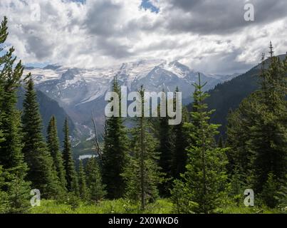 Mount Rainier in der Wolke. Blick vom Sunrise Trail. Mount Rainier National Park. Bundesstaat Washington. Stockfoto