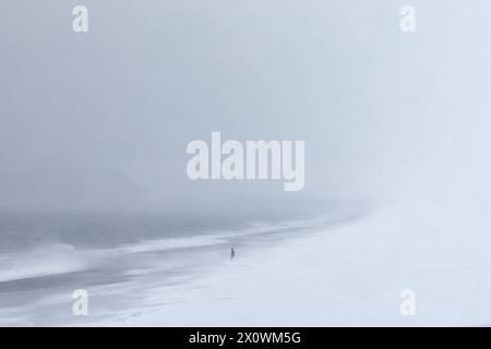 Einsame Figur an einem schneebedeckten Strand in einem Schneesturm Stockfoto