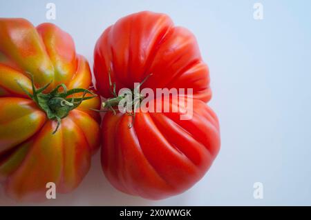 Zwei raf-Tomaten in Kontakt. Ansicht schließen. Stockfoto