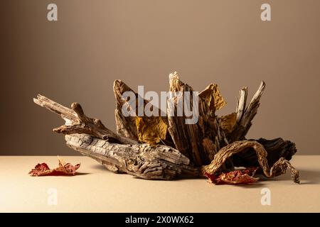 Alte trockene Holzschnäppchen und getrocknete Weinblätter auf beigefarbenem Hintergrund. Platzieren Sie Ihr Produkt in den Vordergrund. Kopierbereich. Stockfoto