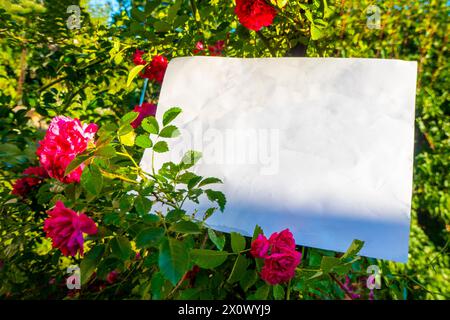 Weißes Papier und schöne Blumen Stockfoto