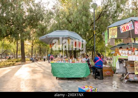 Händler, die Lebensmittel im wunderschönen Stadtpark Alameda Central verkaufen. Alameda Central in Mexiko City ist ein historischer Stadtpark aus dem 16. Jahrhundert, der ihn zu einem der ältesten öffentlichen Parks Amerikas macht. Mit üppigem Grün, kunstvollen Springbrunnen und Statuen bietet es eine ruhige Oase im Herzen der belebten Metropole, die Einheimische und Touristen gleichermaßen für gemütliche Spaziergänge und Entspannung anlockt. (Foto: Shawn Goldberg / SOPA Images/SIPA USA) Stockfoto