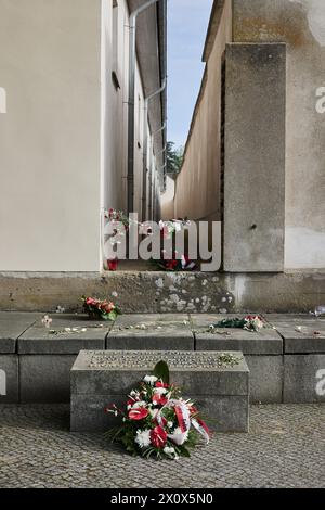 14. April 2024, Brandenburg, Fürstenberg/Havel: Im Rahmen der zentralen Gedenkveranstaltung zum 79. Jahrestag der Befreiung des Frauenlager Ravensbrück werden Blumen und Kränze entlang des sogenannten Schießkorridors gelegt. Foto: Jörg Carstensen/dpa Stockfoto