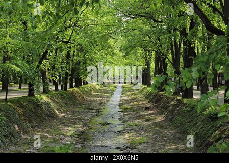 Fluss, der durch einen Park läuft, Vrnjacka banja - Serbien Stockfoto