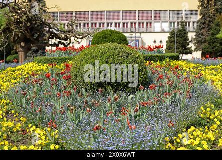 Blumen im Park, Vrnjacka banja - Serbien Stockfoto