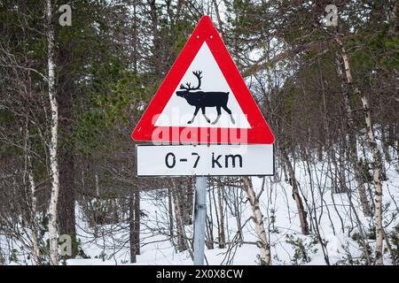 Warnschild Elche/Elche, Norwegen Stockfoto