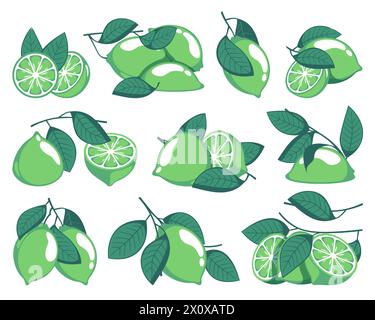 Grüne Limetten. Cartoon Zitrusfrüchte mit Blättern, saure Bio Zitrusfrüchte Scheiben ganze und halbe Stücke mit Schale. Vektor-isolierter Satz. Produkt für Getränke, Erfrischungen und Cocktails Stock Vektor