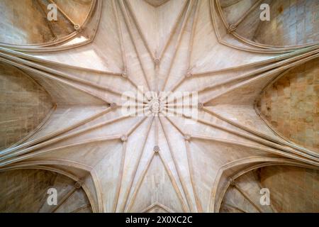 Batalha, Mosteiro da Batalha, Kloster, Kapitelsaal, Gewölbe Stockfoto